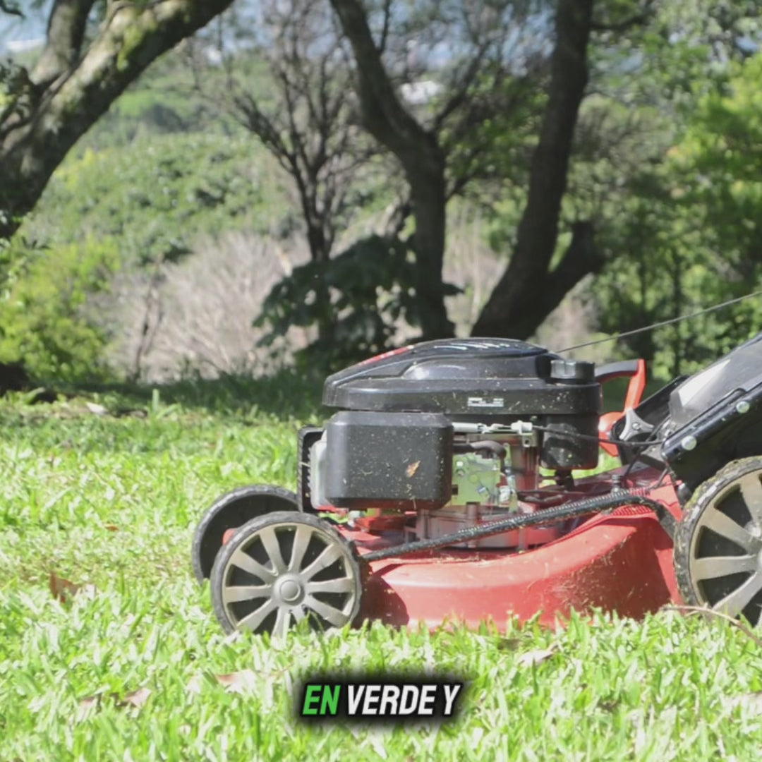 Cargar video: 